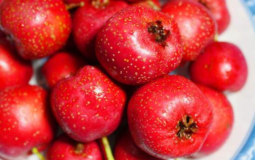 春節期間容易增加脂肪 這幾種茶飲助你消脂