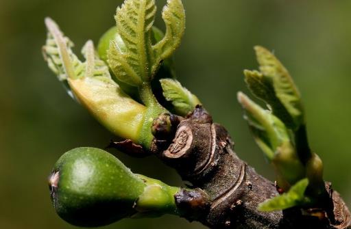 春季養生好時刻 少生病更健康