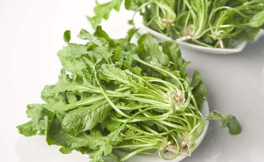 春季好吃的野菜 這種讓你更健康
