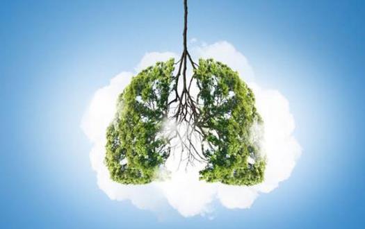 春季養肺有妙招 潤肺養肺食物大盤點