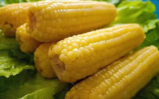 食物豐胸大揭秘 堅持吃讓你擁有豐挺美觀的胸部