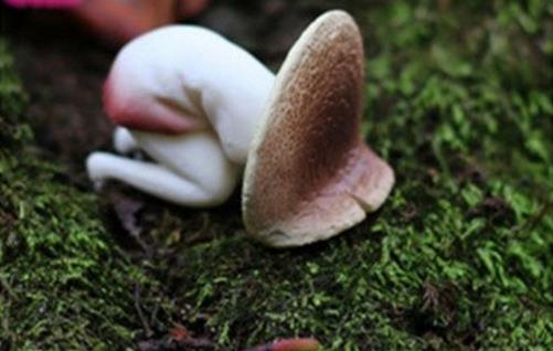 大冷天遇上姨媽痛 試試這個幫你和痛經(jīng)saygoodbye