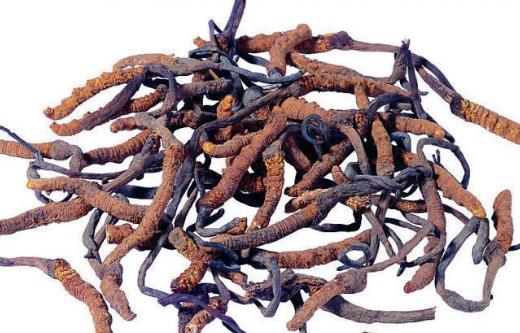 總是疲勞沒精神，濕熱體質的你如何調理才能恢復健康