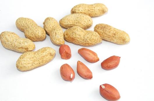 腸胃要刮油 這七種食物得吃