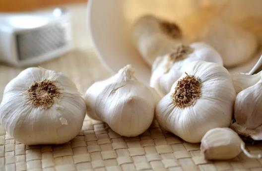 食物有助提高免疫力？9種食物不可錯過！