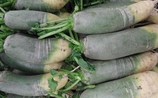 蘿卜的營養(yǎng)與功效 冬吃蘿卜夏吃姜一年四季保安康