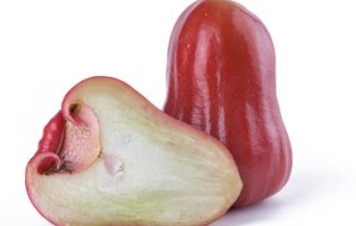 蓮霧熱量低營養豐富且能降血壓