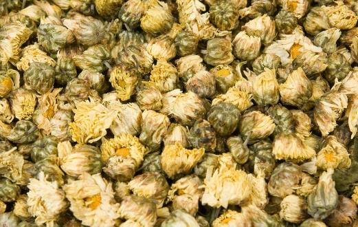 不同類菊花效用不同 分享菊花的小知識