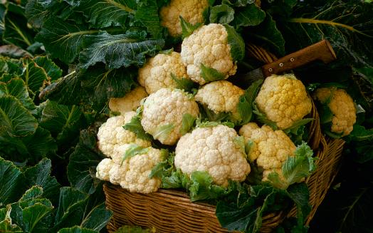 花椰菜要這樣吃，抗癌的效果才更好！