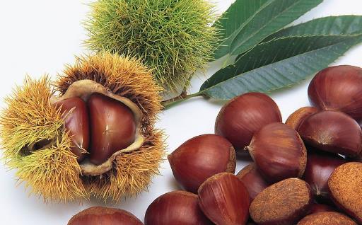 栗子快速去皮的方法 教你快速剝殼法