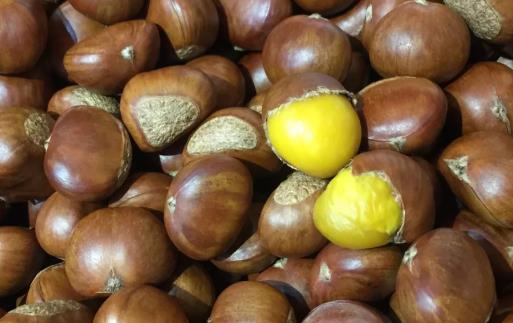 栗子快速去皮的方法 教你快速剝殼法