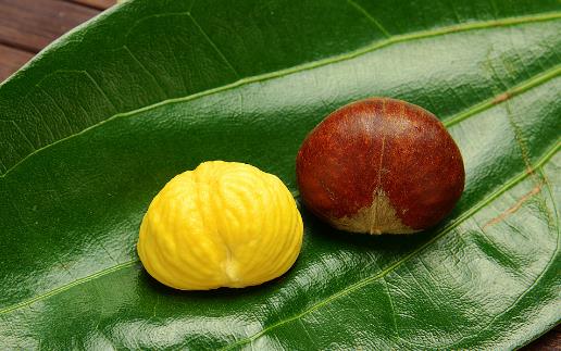 栗子快速去皮的方法 教你快速剝殼法