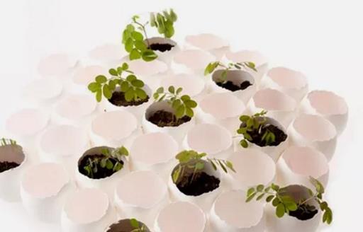 雞蛋殼的10個小妙用 以后可別再傻傻丟掉啦