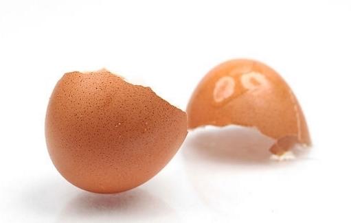 雞蛋殼的10個小妙用 以后可別再傻傻丟掉啦