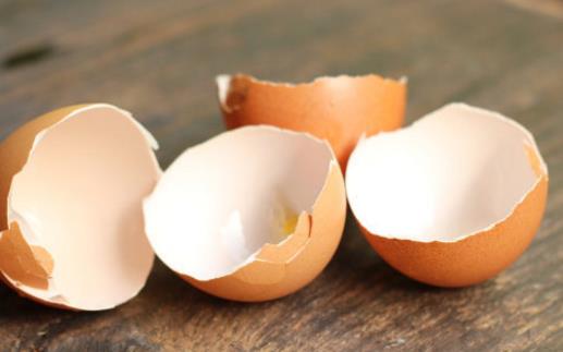 雞蛋殼的10個小妙用 以后可別再傻傻丟掉啦