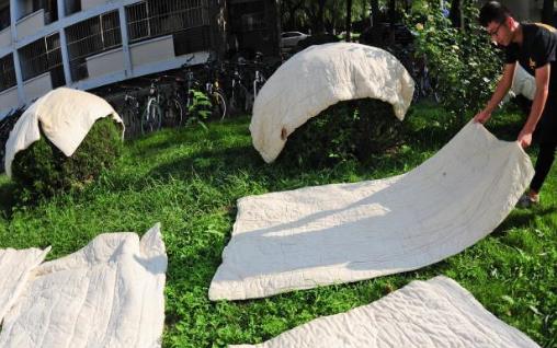 家里隱藏導致我們過敏的過敏原 趕緊把它們清理掉