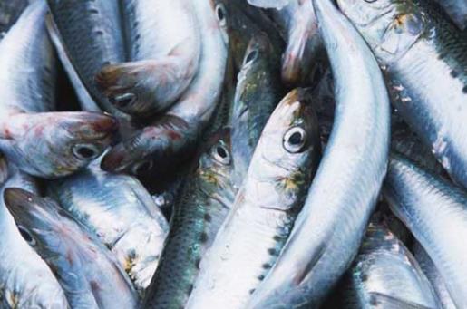 冬季心血管疾病高發 季節冬天心臟病的幾種預防方法