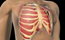 引起胸骨疼痛的疾病 胸骨后疼痛護理