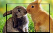 ?選購智能電視 為各式新穎的電視機款式解碼