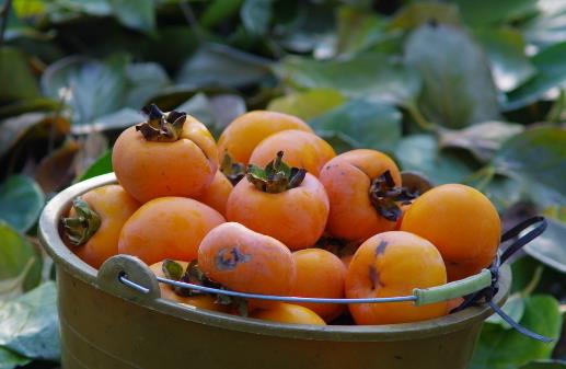 手指長(zhǎng)度竟能決定女生每月痛與不痛