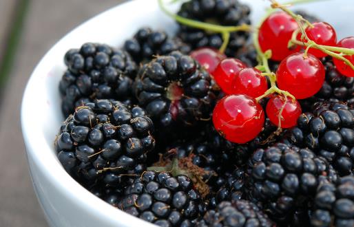 鱷梨和黑莓健康大PK 五大健康益處養生又保健
