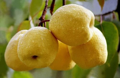 癌癥會傳染嗎？這些事做不好當心癌癥找上你