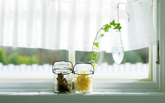 畏寒花卉春季出室的經(jīng)驗 掌握花卉的生長規(guī)律是關(guān)鍵