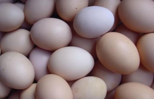 土雞蛋更有營養嗎？未必！