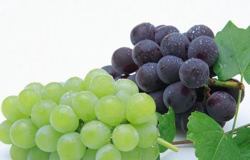 水果有很高的營(yíng)養(yǎng) 盤(pán)點(diǎn)清熱解毒的水果