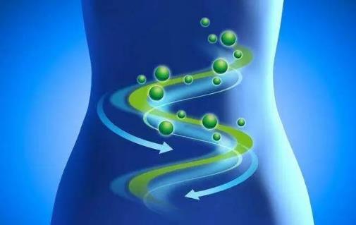 益生菌有益腸道健康 怎么吃才最好