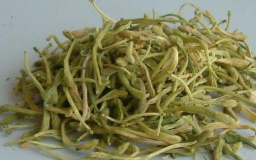 最適合春季喝的養生茶 養身體預防疾病