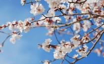 春天養肝護肝最好的季節 要想養肝避免這種傷肝行為