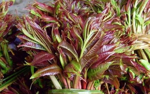 春天養(yǎng)生宜注重升陽(yáng)疏肝和醒脾 香字輩食物來滿足