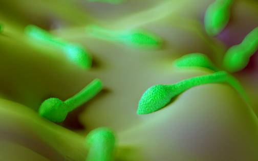 什么是破傷風？為什么破傷風會致命？