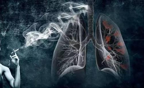 身體異狀是肺不好的表現 肺不好多吃3白幫你養好肺