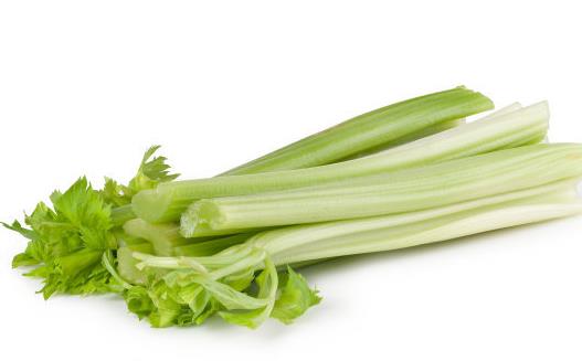 消滅囤積的脂肪 飲食和運動結合消滅肚子上的贅肉