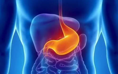 身體器官有哪些弱點(diǎn)？一一揭秘6大器官的弱點(diǎn)