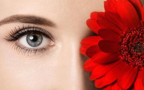 身體器官有哪些弱點(diǎn)？一一揭秘6大器官的弱點(diǎn)