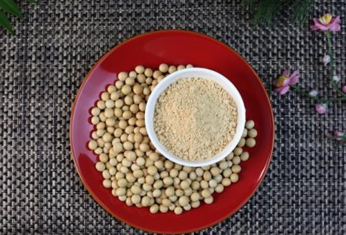 布偶貓吃什么對毛發好 原來這些食物就可以