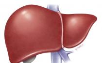身體2癢2痛臟可能受損了 養肝牢記一二三讓肝好起來