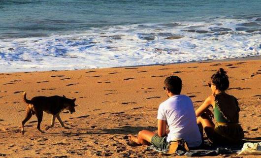 曬日光浴幫助我們健康長壽 曬日光浴的禁忌