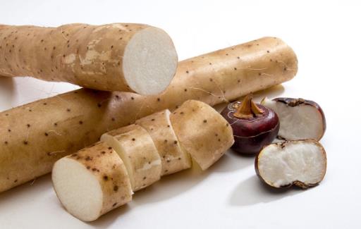 長壽的7個飲食小秘訣 能幫你延年益壽