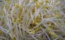 ?挑選新鮮的蔬菜小妙招 再也不用擔(dān)心會(huì)被菜販騙