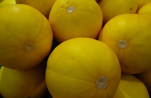 哈密瓜熟不熟?看這幾個地方就知道