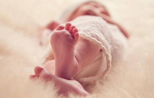 明確胎兒心臟發育的過程 讓你的胎兒遠離先天性心臟病