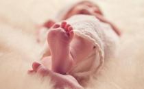 明確胎兒心臟發(fā)育的過程 讓你的胎兒遠(yuǎn)離先天性心臟病