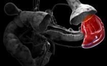 學習揉脾經能揉掉很多慢性病 不給疾病任何藏身之地