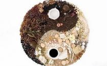 從中醫方面看失眠 中醫藥及食療保健方法改善睡眠質量