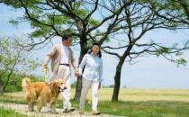 養狗人士的運動量達標率會偏高 帶著狗狗運動的好處