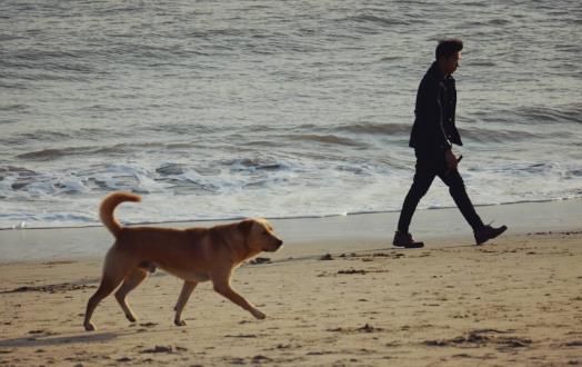 散步可以讓身體放松強(qiáng)身健體 散步的講究